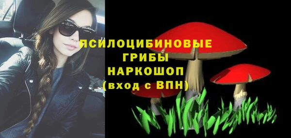 дурь Абинск