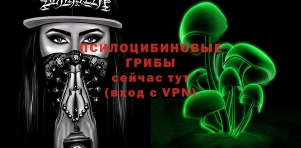 прущие грибы Алзамай