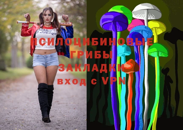 дурь Абинск