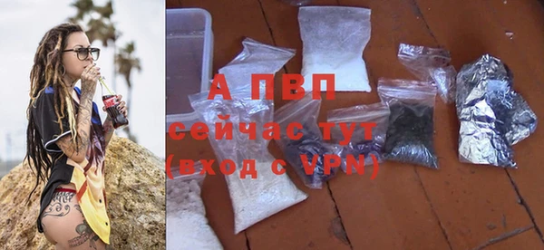apvp Няндома