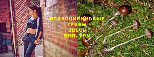 гидра Абдулино