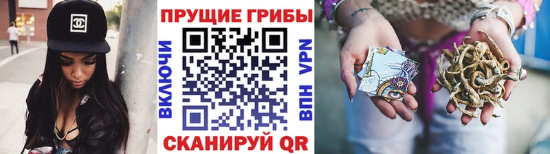 Псилоцибиновые грибы Psilocybine cubensis  Котельнич 