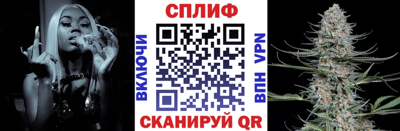 хочу наркоту  площадка клад  Бошки Шишки THC 21%  Котельнич 